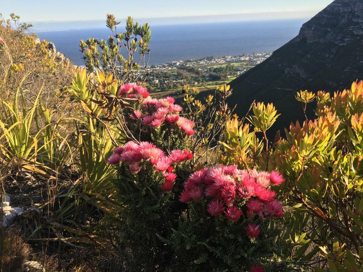 The Gables Hermanus Luaran gambar